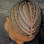 Zebra braids