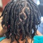 Starter Locs- Youth, full head