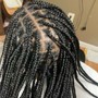 Box Braids