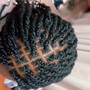 Tree Braids