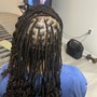 Medium Island Twist