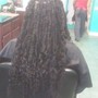 Senegalese Twist