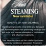 NEW- Steam Hair & Wash