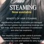 NEW- Steam Hair & Wash