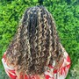 Shampoo/Blowout for braid prep