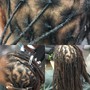 Root Touch Up