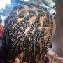 2 Feed in Braids