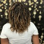 Natural Twists