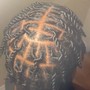 Starter Dreadlocks