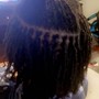 Sisterloc/Microloc retwist