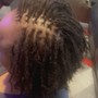 Sisterloc/Microloc retwist