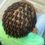 Starter Locs