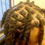 Starter locs