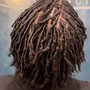 Starter Locs