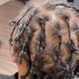 Starter Locs