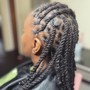 Small lemonade braids