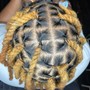 Loc Maintenance/Retwist (bra strap to waist length)