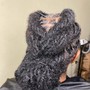 Large feed in Ponytail/bun