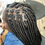 Braid Takedown “medium/smedium”