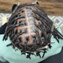 Invisible Locs on Natural hair