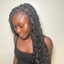 Small Box Braids or Twists