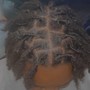 Loc or Natural Hair Trim