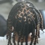 Starter Locs