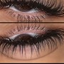 2 Week Volume Eyelash Fill