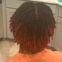 Locs Partial/ Tips Color