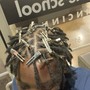 Adult Starter Locs