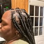 2 Butterfly Cornrows