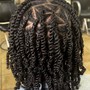 Natural Twists