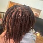 Loc Coils (starters)