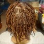 Havana Twists