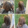 Root Touch Up