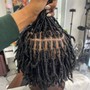 Starter Locs