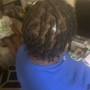 Starter Locs