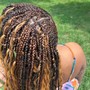 Boho locs/ passion locs