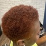 Root Touch Up