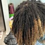 Natural Twists