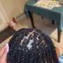 Starter Locs