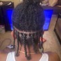 Starter Locs