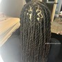 Dread retwist with style