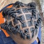 Starter Locs