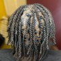 Starter locs (comb twist)