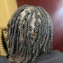 Starter locs (comb twist)