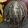 Starter locs (comb twist)