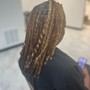 Shampoo and Loc Re-twist