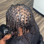 Starter Locs