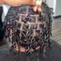 Starter Locs